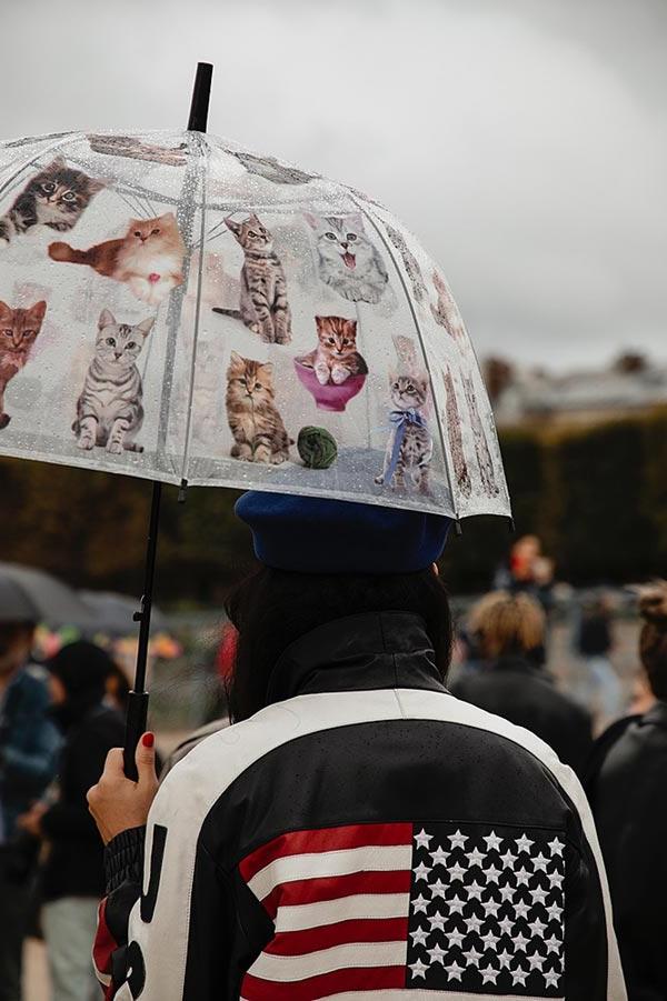 2022年巴黎时装周，杜伊勒里花园的猫和国旗